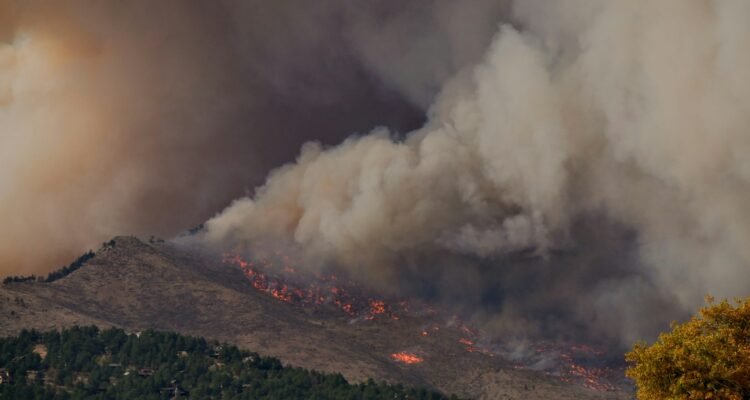 Kebakaran Hutan/Unsplash