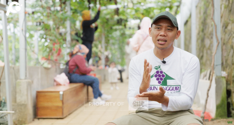 Kebun Anggur Ciharalang, Kabupaten Bandung