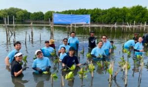 Penanaman Mangrove_ZUrich
