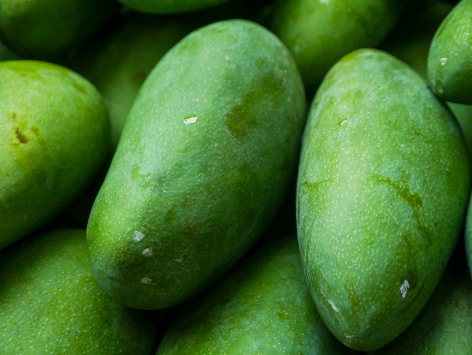 Mangga